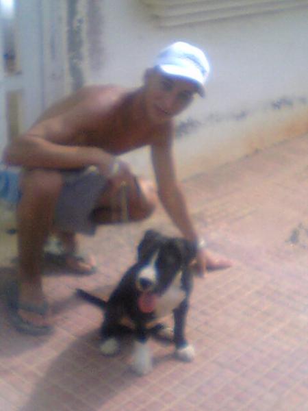 mi dani